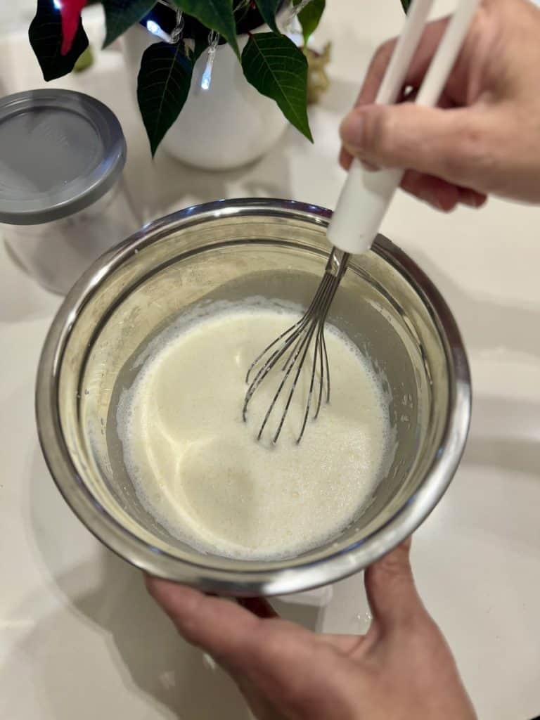 Ninja Creami Classic Vanilla Ice Cream