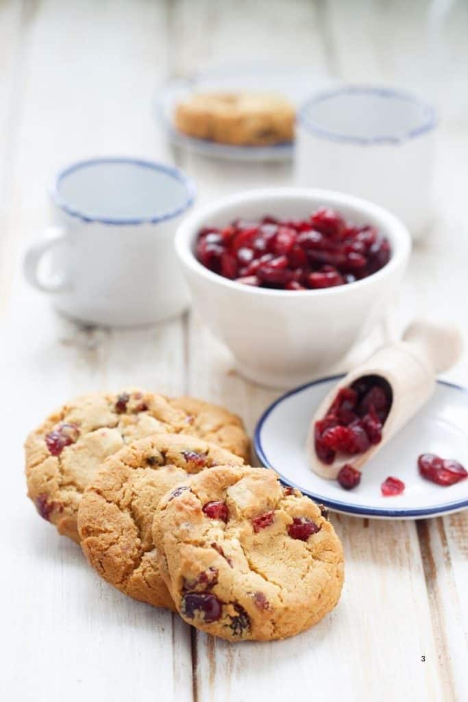 Cranberry Nut Sugar Cookies